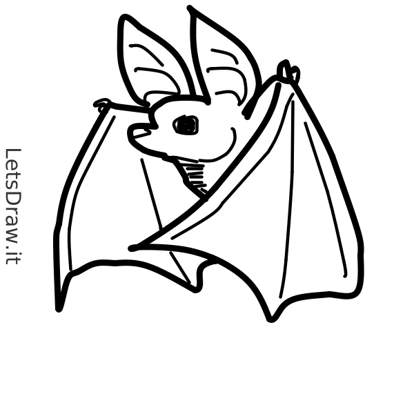How to draw bat / 7h6aecumq.png / LetsDrawIt