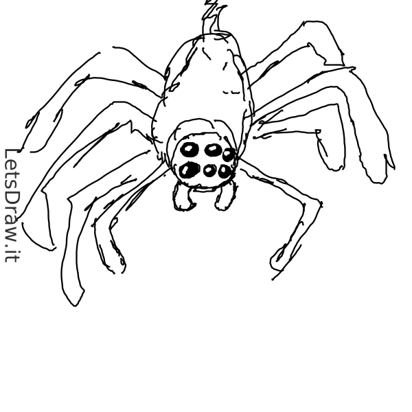 How to draw spider / 7mrmrt7qs.png / LetsDrawIt