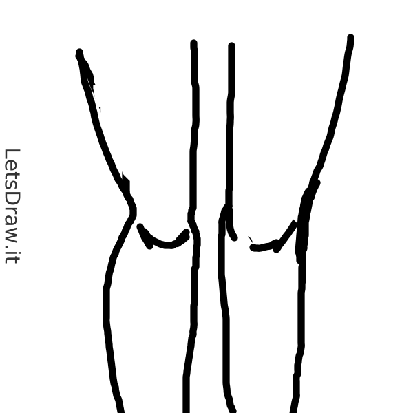 How To Draw Knees 7xzmbcyzc Png LetsDrawIt   7xzmbcyzc 