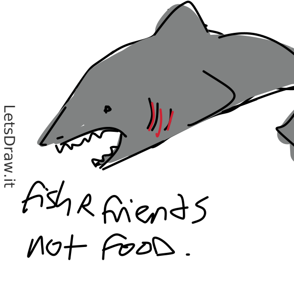 How to draw shark / 85iydfp9y.png / LetsDrawIt