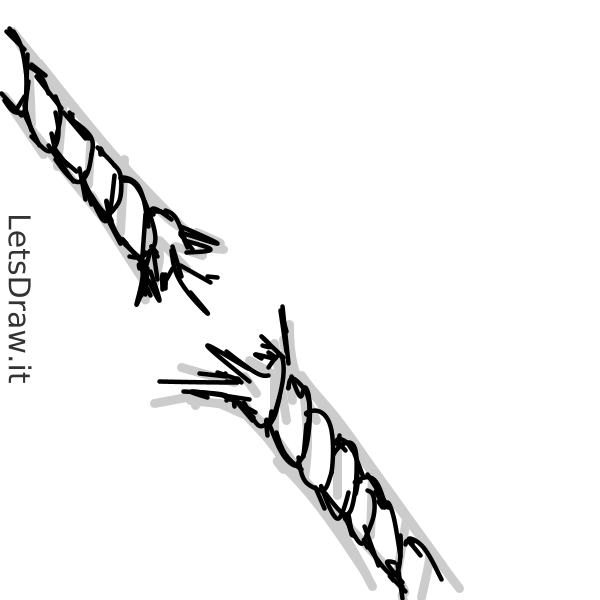 Drawtrext Rope How to draw rope / 896hgge76.png / LetsDrawIt