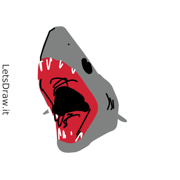 How to draw shark / 8d78bipji.png / LetsDrawIt