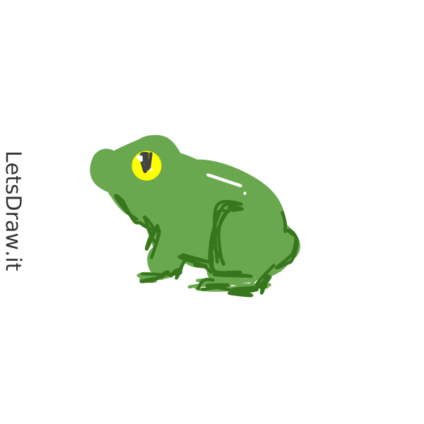 How to draw frog / 8ph317br.png / LetsDrawIt
