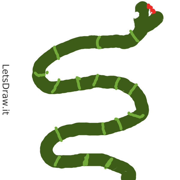Snake Drawing Invisible How to draw snakes / 9ejbxjksf.png / LetsDrawIt