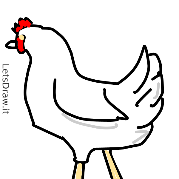 How to draw hen / 9f7sgfh8a.png / LetsDrawIt