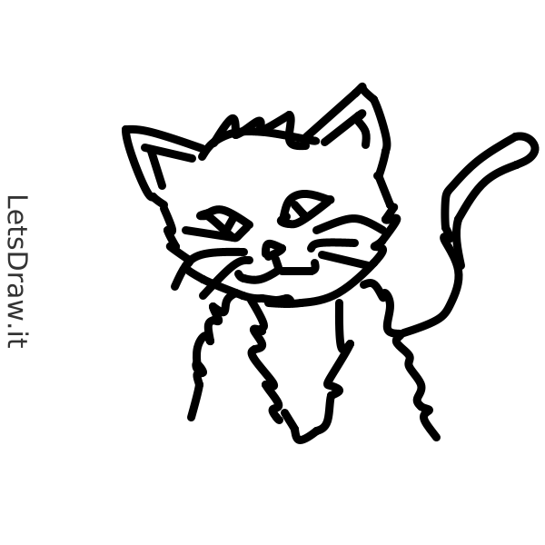 How To Draw Cat 9ia6bddf4png Letsdrawit 