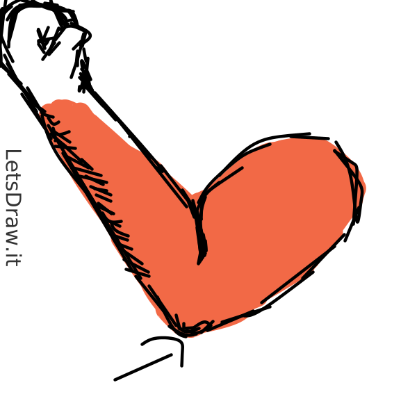 How to draw elbow / 9k8tdq159.png / LetsDrawIt