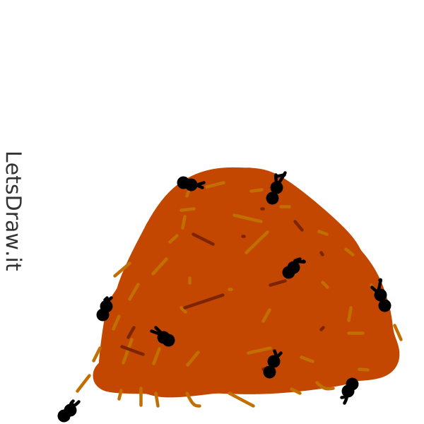 How to draw ants / 9pbdpomp3.png / LetsDrawIt