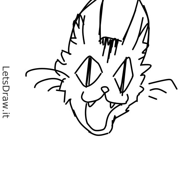 How To Draw Cats 9x39uj6ppng Letsdrawit 