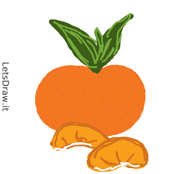 How to draw tangerine / 9zsjofsko png / LetsDrawIt