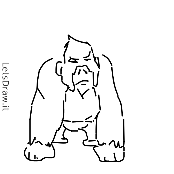 How to draw gorilla / ai5qmbuh.png / LetsDrawIt