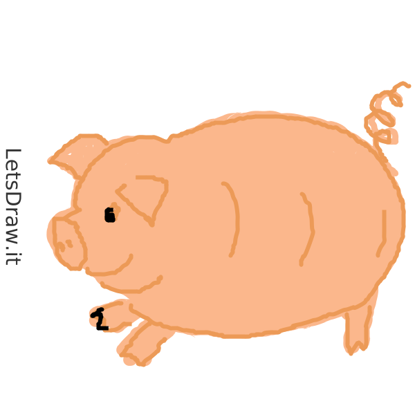 How To Draw Hog Aj3wq5iij Png LetsDrawIt   Aj3wq5iij 