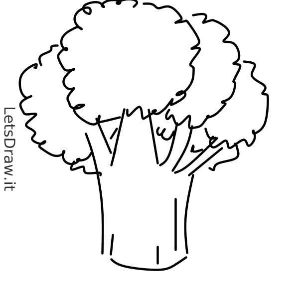Drawing Broccli How to draw broccoli / ao1wus1w.png / LetsDrawIt