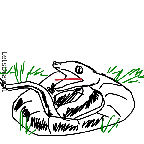 How to draw grass snake / apsxqdy9.png / LetsDrawIt