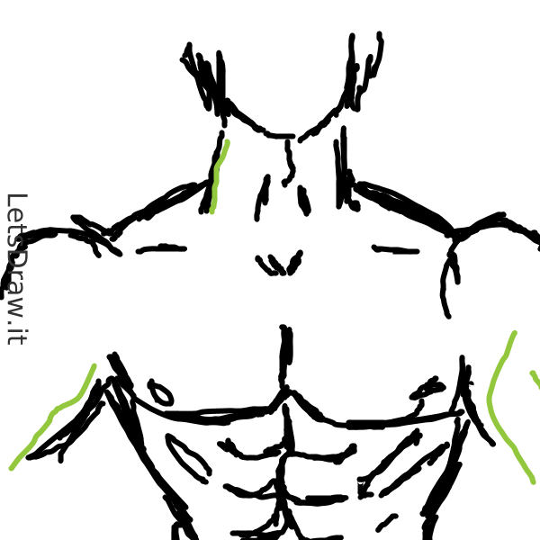 How to draw muscles / apurq6jfo.png / LetsDrawIt