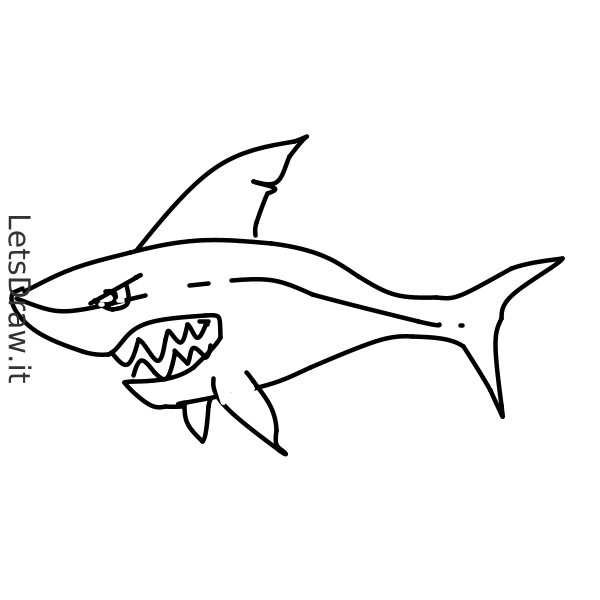 How to draw shark / atwndajh8.png / LetsDrawIt