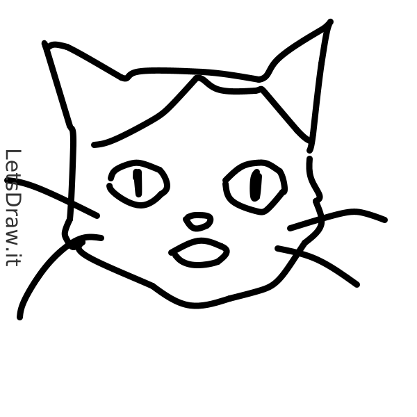 How to draw cat whiskers / b4fqm5pf7.png / LetsDrawIt