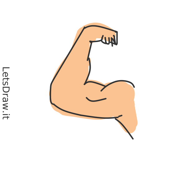 How To Draw Muscles Letsdrawit