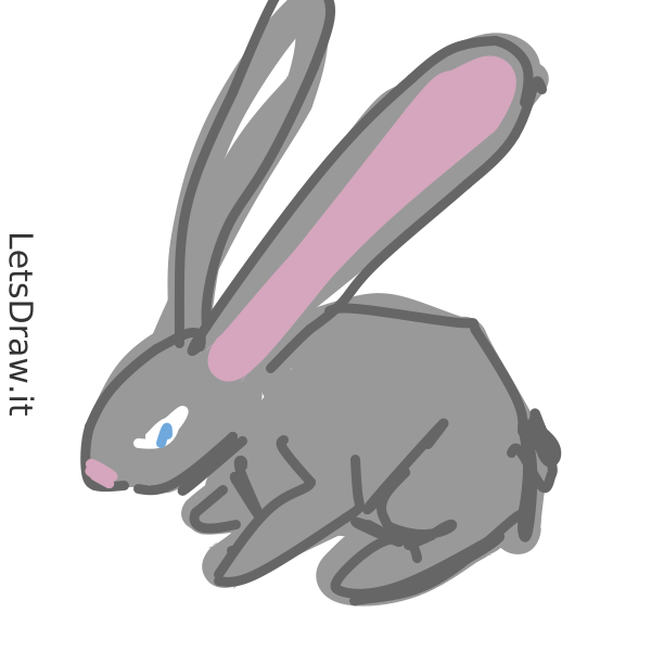Drawing Rabbit Character How to draw rabbit / bjuef5kip.png / LetsDrawIt