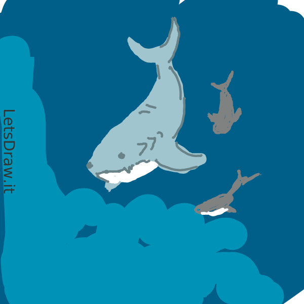 How to draw Sharks / c6ijxedwn.png / LetsDrawIt