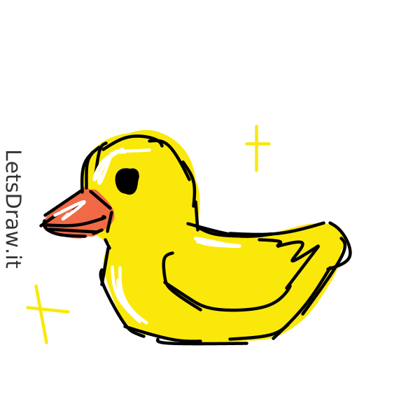 How to draw rubber duck / c6nunq1cu.png / LetsDrawIt