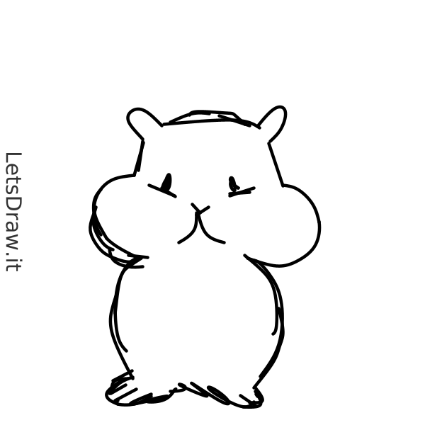 How to draw hamster / c7afcmzud.png / LetsDrawIt