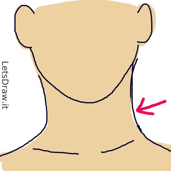 How to draw neck / LetsDrawIt