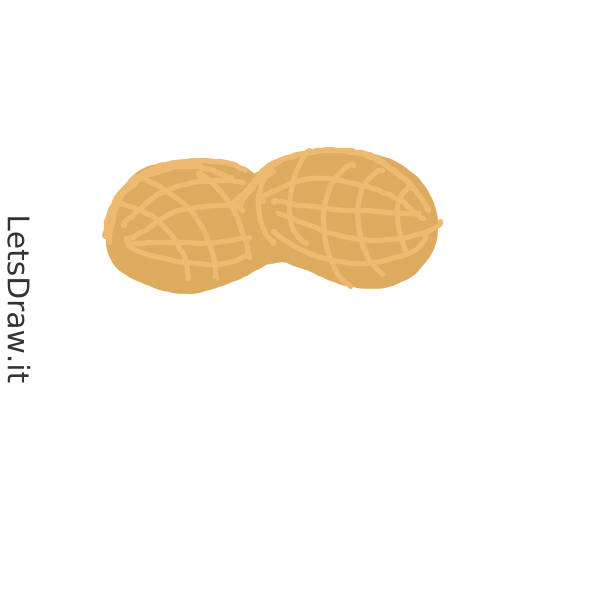How to draw Peanut / cghr8u7qo.png / LetsDrawIt