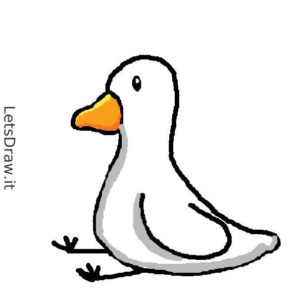 How to draw goose / ckkp1gyfw.png / LetsDrawIt