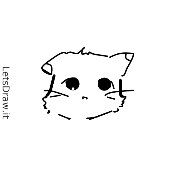 How To Draw Cat Cp81rptjpng Letsdrawit 