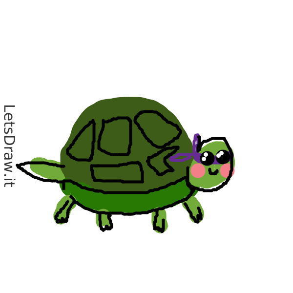 How to draw turtles / cphkqczcm.png / LetsDrawIt