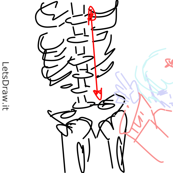 How to draw spine / d67epbs8d.png / LetsDrawIt