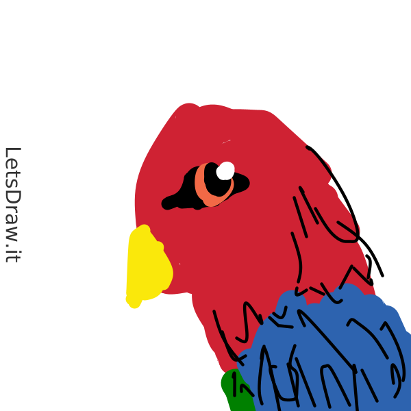 Parrot Draw Computer How to draw parrot / dcxrbm7wf.png / LetsDrawIt