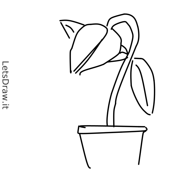 how-to-draw-plant-dfi4pht8-png-letsdrawit