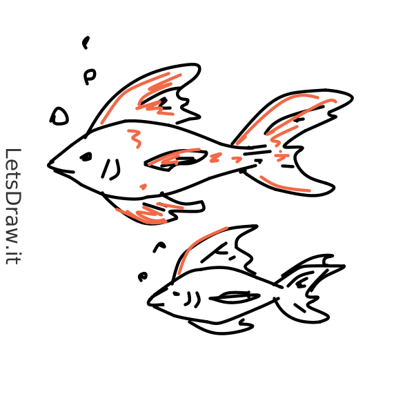 how to draw a goldfish