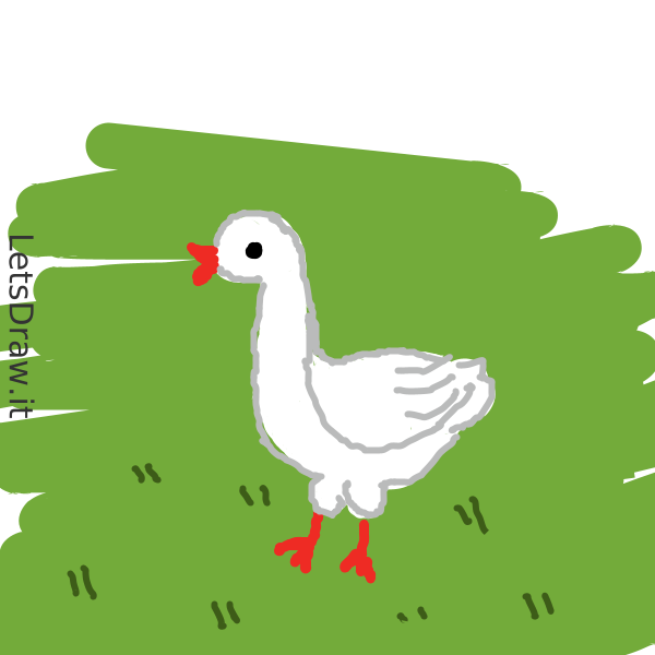 How to draw goose / dkcnom1x9.png / LetsDrawIt