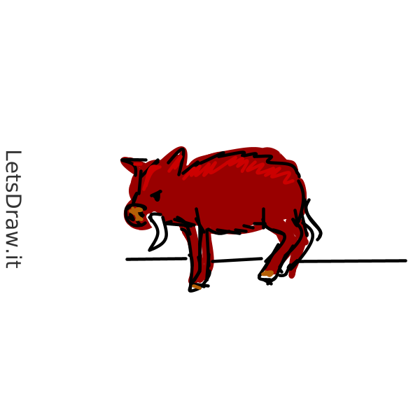 How To Draw Hog Dny4f3uhx Png LetsDrawIt   Dny4f3uhx 