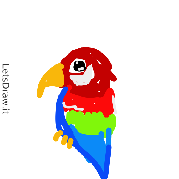 Parrot Draw Computer How to draw parrot / dq83kdg7c.png / LetsDrawIt