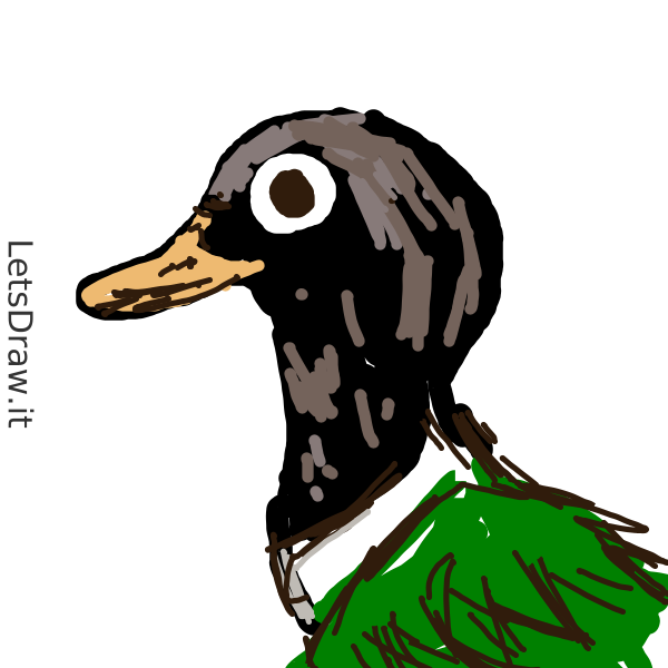 How to draw ducks Learn to draw from other LetsdrawIt players