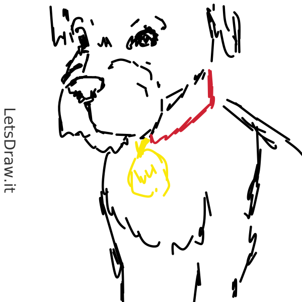 How to draw dog collar / e1oarw59e.png / LetsDrawIt