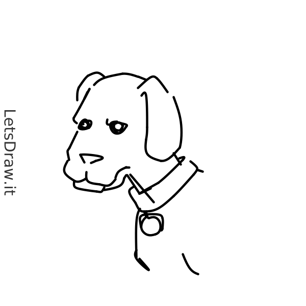 How to draw puppies / e5zpp3u9m.png / LetsDrawIt