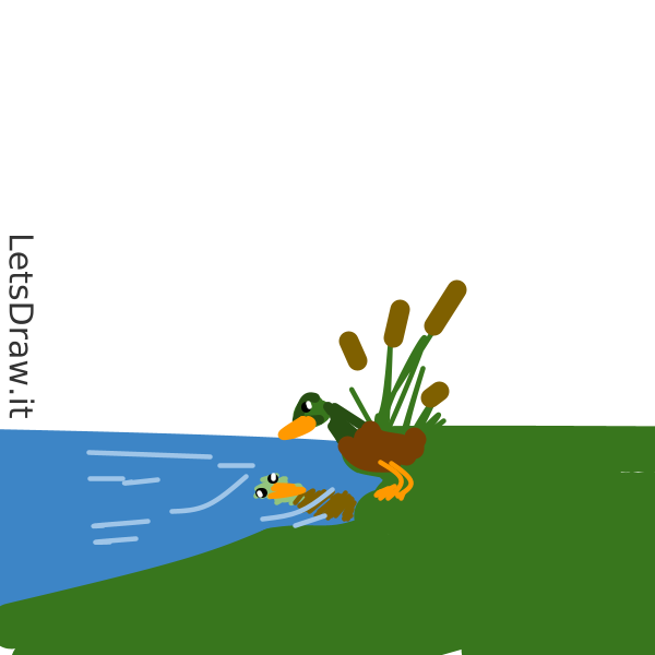 How to draw reflection / ebcud6443.png / LetsDrawIt