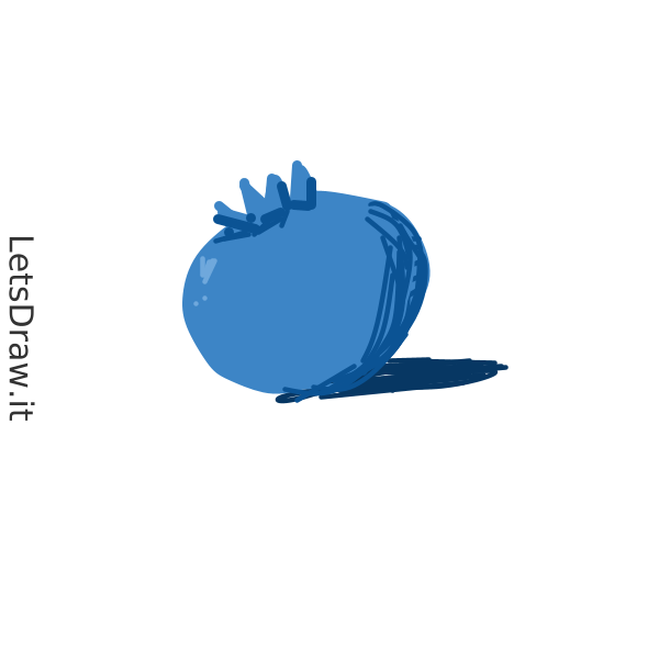 How to draw berry / ecpk8mzt3.png / LetsDrawIt
