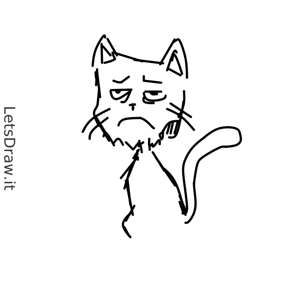 How to draw grumpy cat / em4amn1ft.png / LetsDrawIt