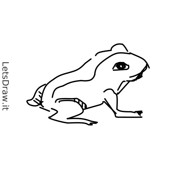 How to draw frog / f4kcba5qg.png / LetsDrawIt