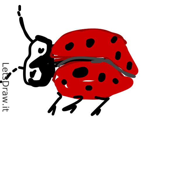 How to draw bug / f5tegwgun png / LetsDrawIt