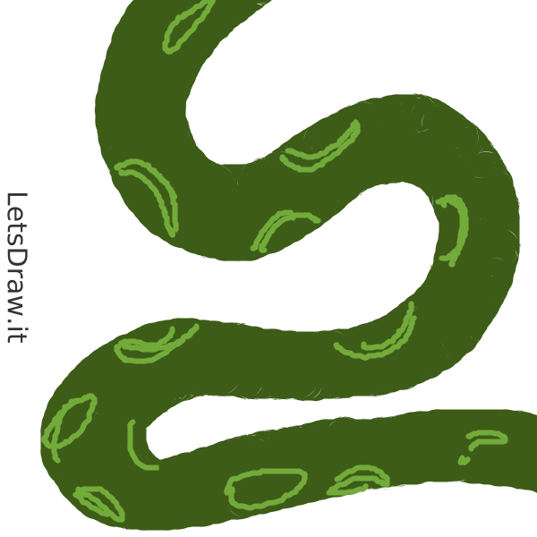 How to draw anaconda / f6eeo19rj.png / LetsDrawIt