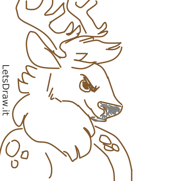 How to draw deer / f8pzd1now.png / LetsDrawIt