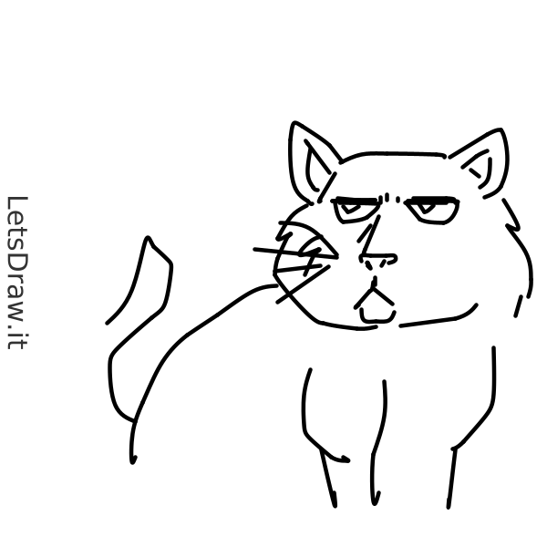 How To Draw Grumpy Cat   Ffnzmm5by.png   Letsdrawit