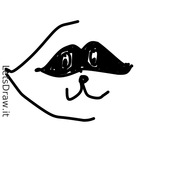 How to draw racoon / fig6m8bcw.png / LetsDrawIt